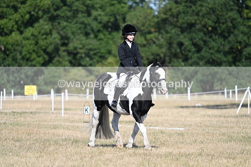 WJ7_9340 - Time 10:08 to 10:13