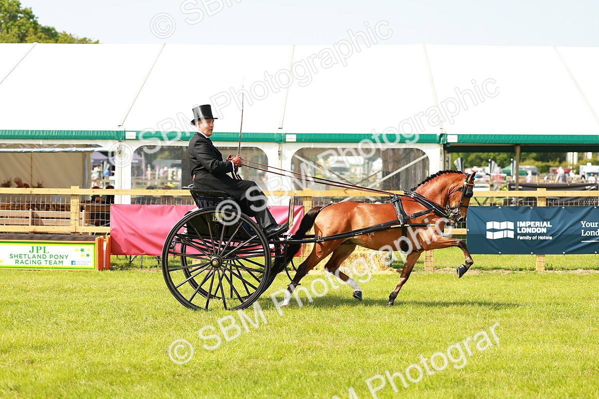 SBM_02576 - Class 2-4 - HOYS Private Driving