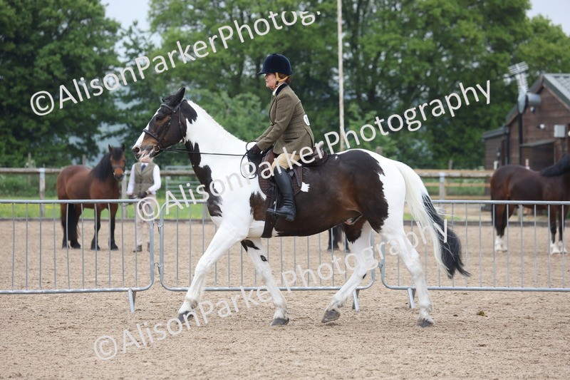 20260504-1035 - Class 14 - Cob and Hunter