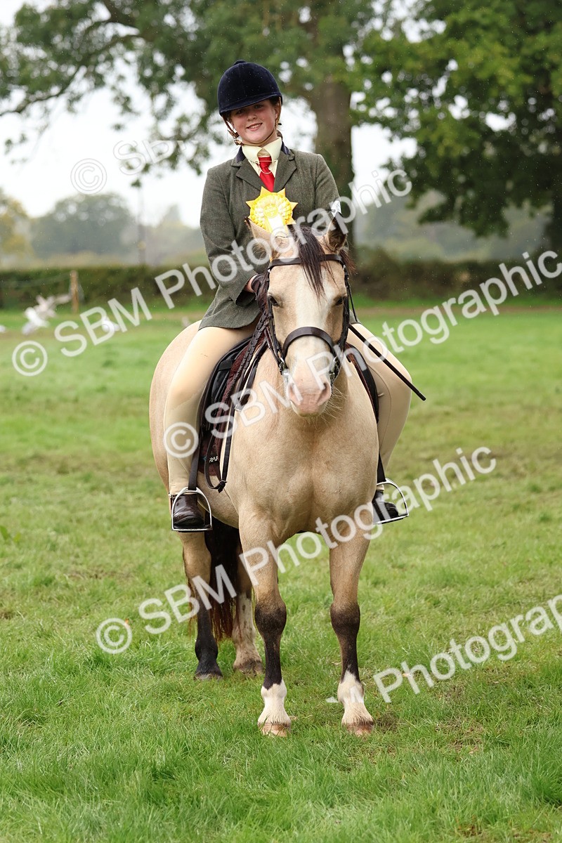 SBM_69746 - S62 - Mountain & Moorland Ridden Large Breeds