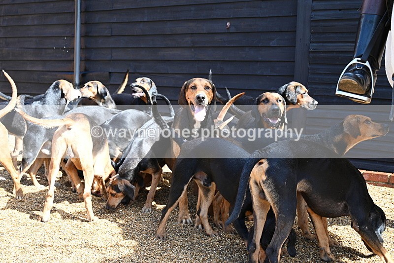 WJ7_7079 - Berks & Bucks at Blandy’s Farm 31-08-25