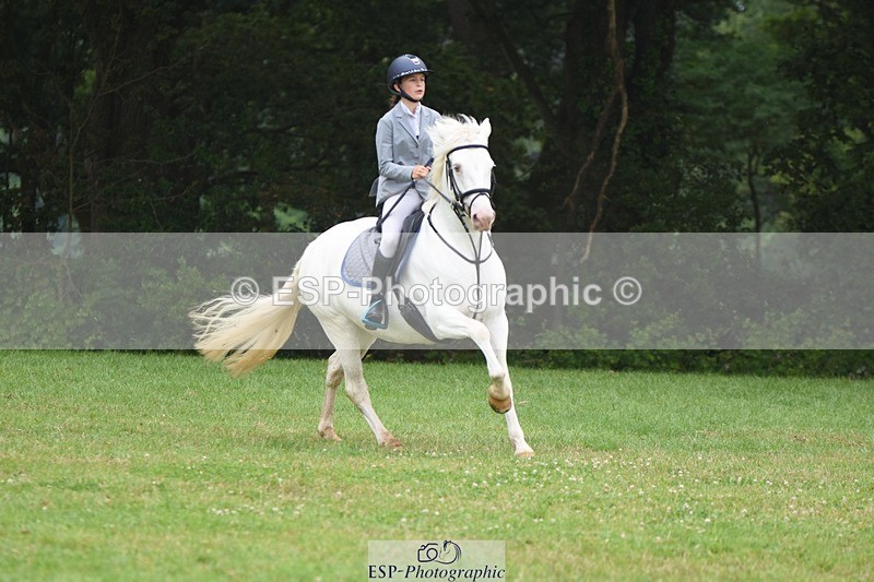 230618-101154-10300 - Cls 28 British Novice & 80cm Open