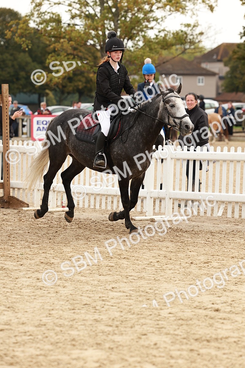 SBM_57598 - J11 - Junior Pony 50cm Championship