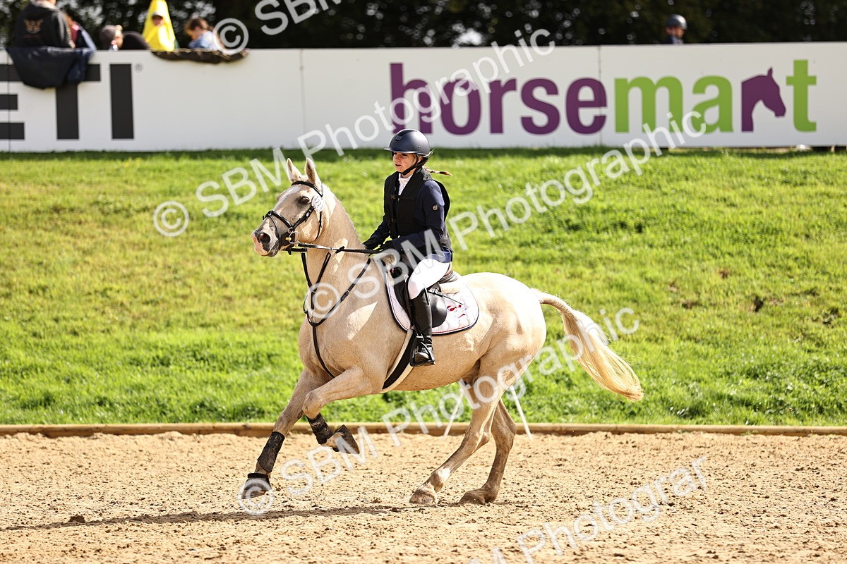SBM_41137 - J40 Senior Horse & Pony 90cm Supreme Championship