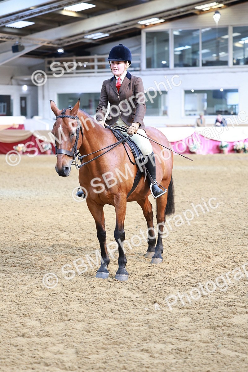 SBM_11860 - Class 102 - Equitation (Best Rider) Adult