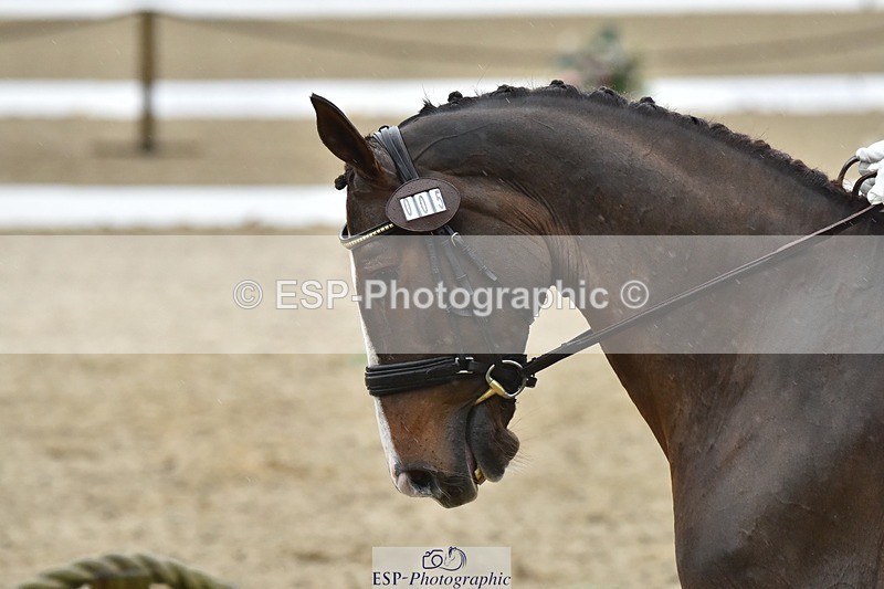 231018-145600-00671 - 005-DIAMOND.WOODS-Claire.Deuten-DR