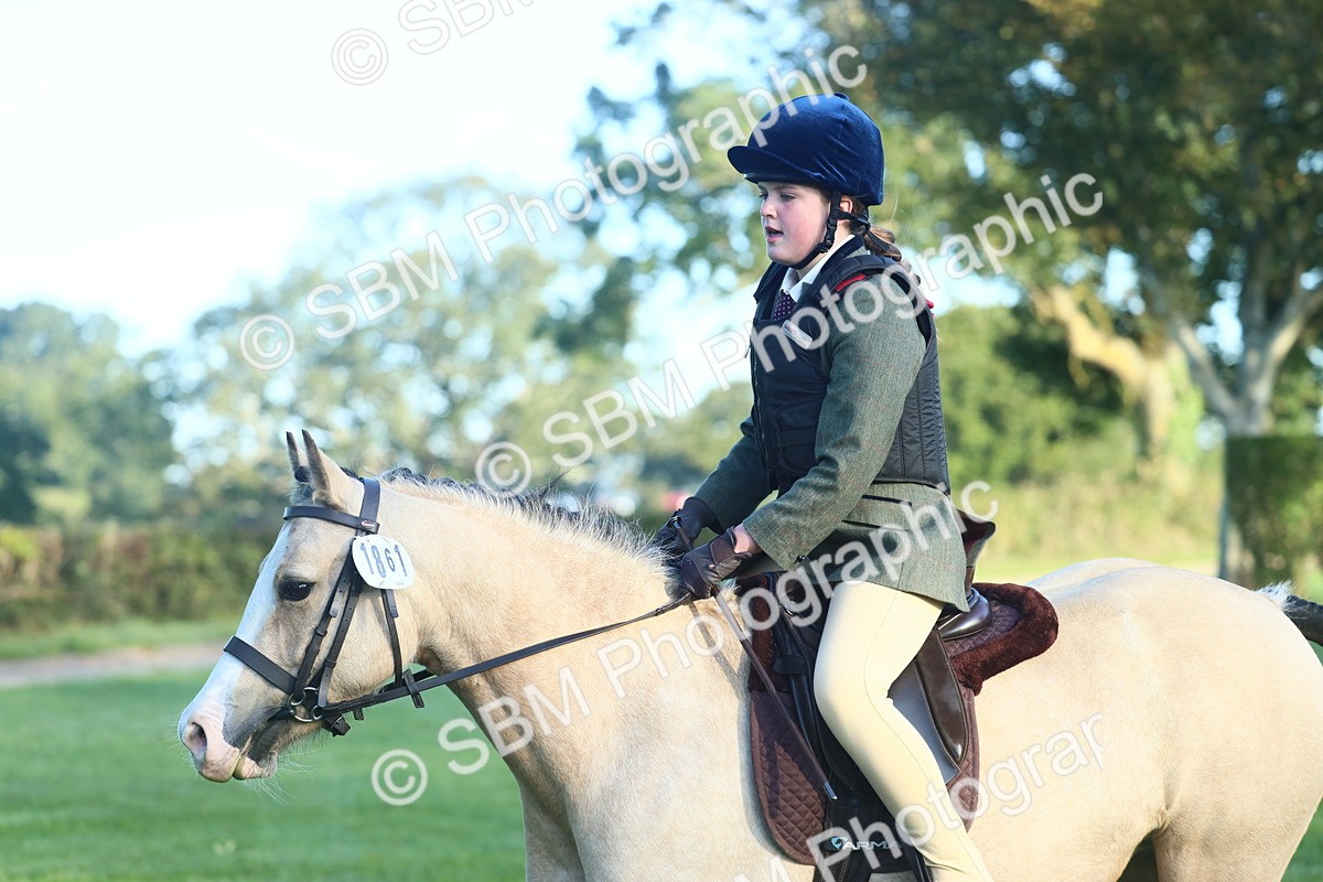 SBM_31858 - S28 - Nursery Stakes Working Hunter Pony