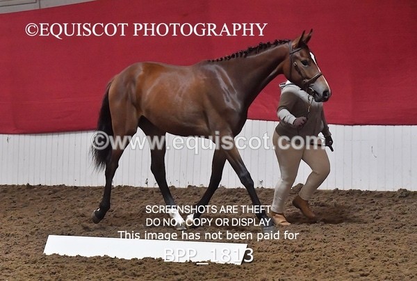 BPP_1813 - MORNING 9AM - 12PM