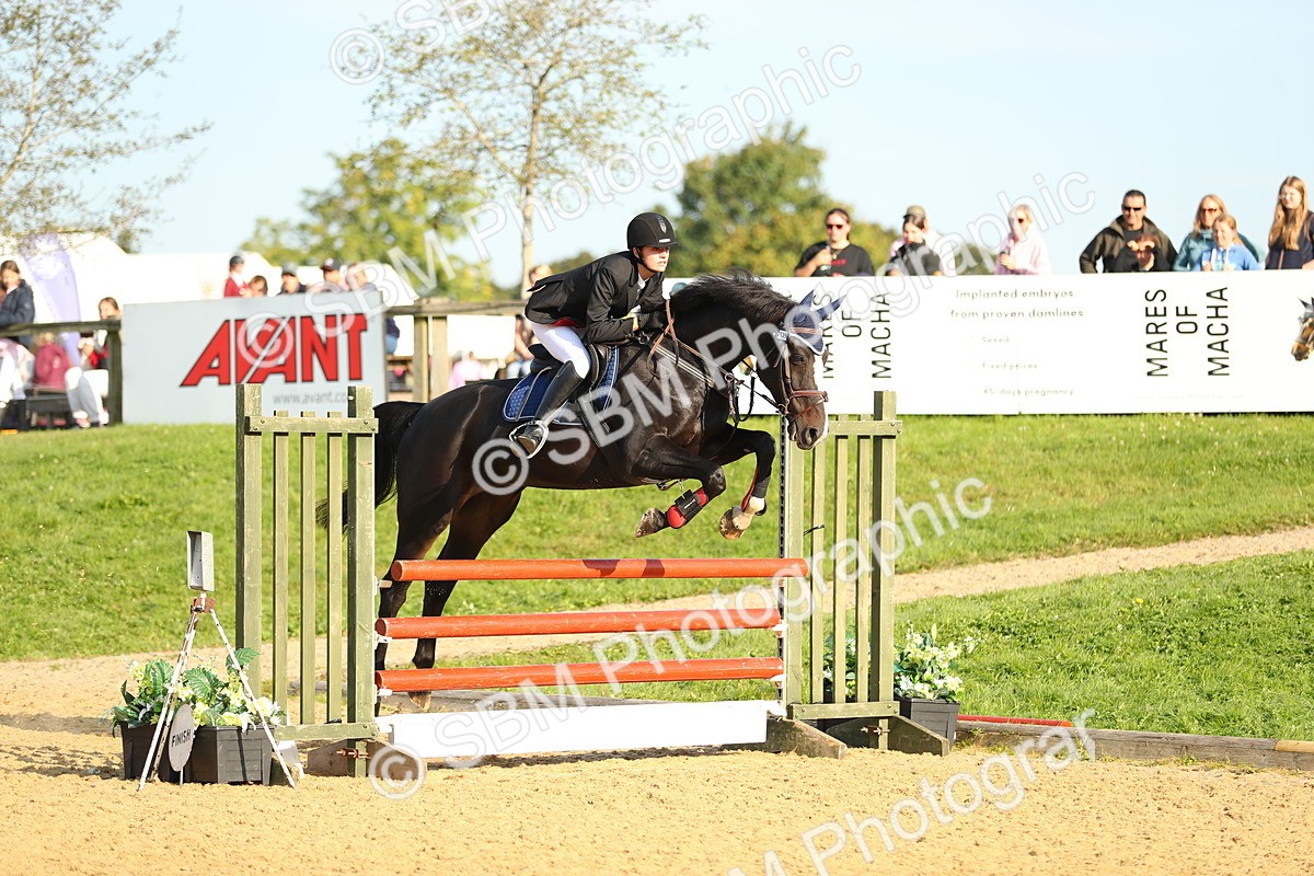 SBM_60214 - J41 - Grand Tour 95cm Championship