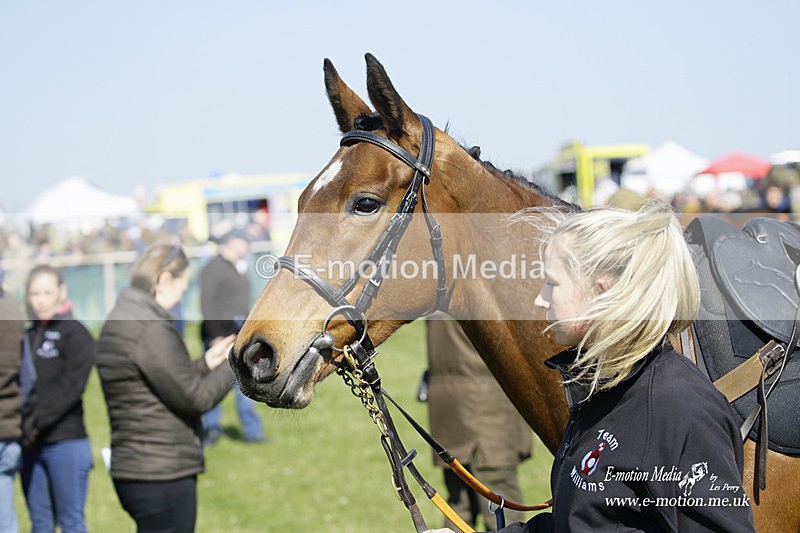 PtP 190322 150 - Wilton Hunt PtP Milborne St Andrew 19/03/22