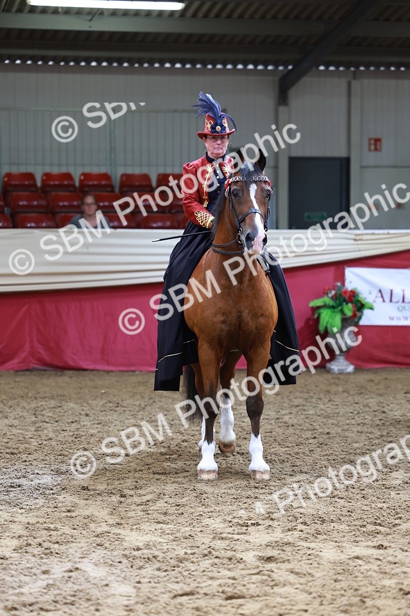 SBM_14838 - Class 107 - Ridden Costume - Astride Adult  (20+)