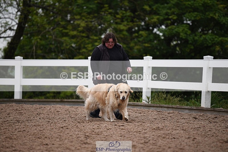 240518A-124730-01194 - Cls 5 Best Purebred