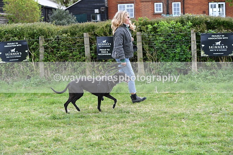 WJ5_9133 - Class 1 Best Cross Breed / Heniz 57