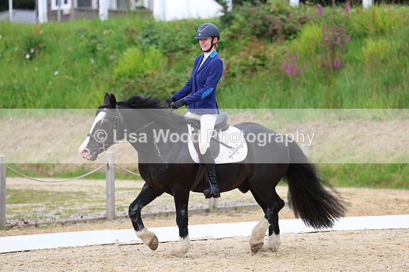 3E7A1665 - Class 2: Intro 2 2024 Section B