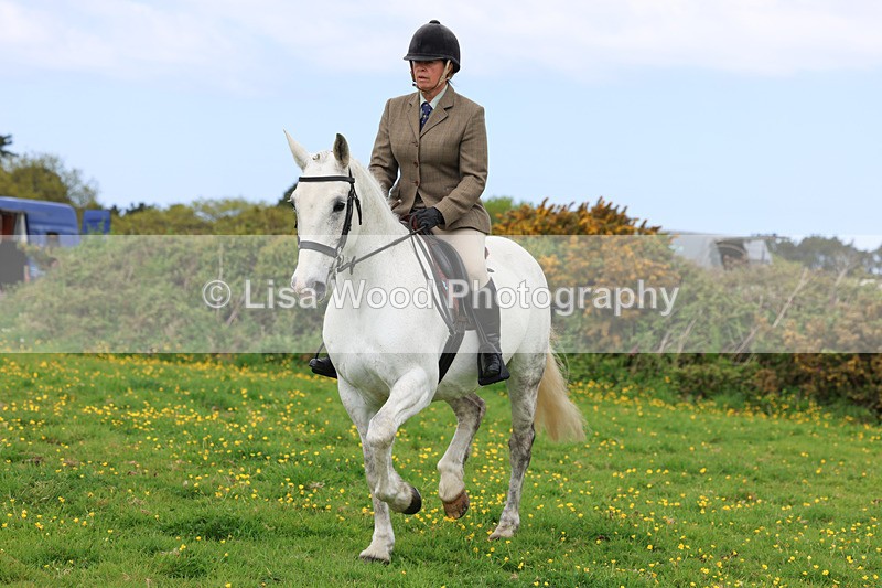 3E7A1249 - Class 7: Ridden Hunter Type