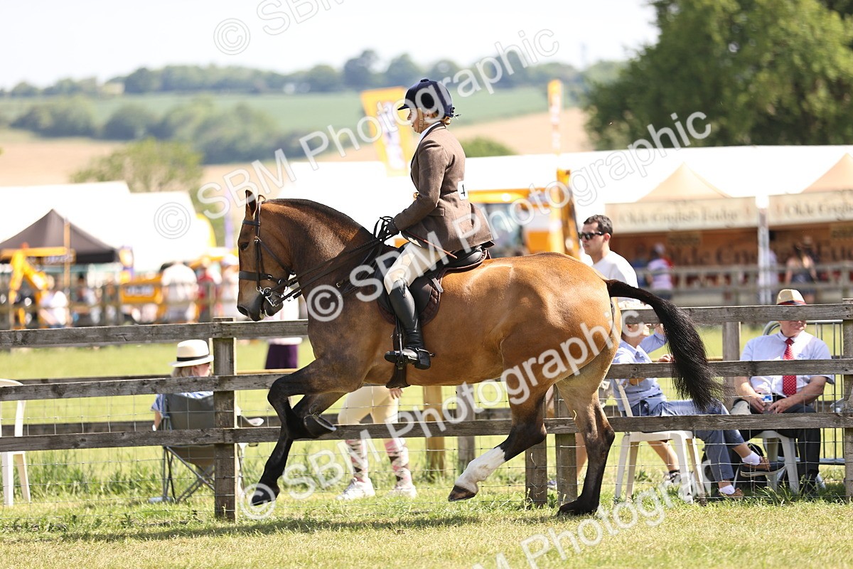 SBM_13739 - Class 77 - LIHS BSHA Rising Star Cobs