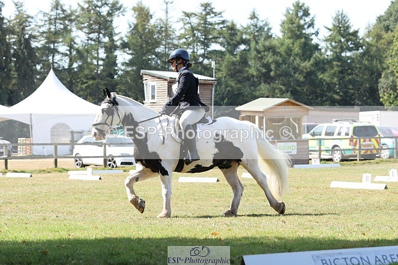 250823A-112958-27689 - Arena C