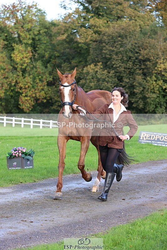 251026A-100004-22654 - D-368-Emma.Pine