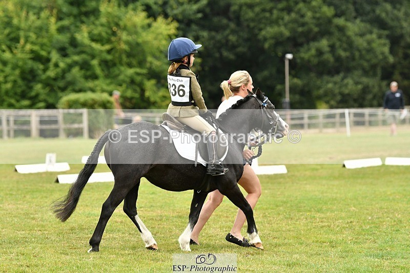 250820A-113149-05121 - 11am to 12