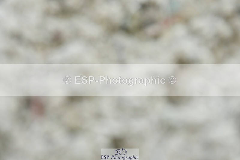 230623-112608-00453 - Cls 3 Novice 23 Start to 11.55 break