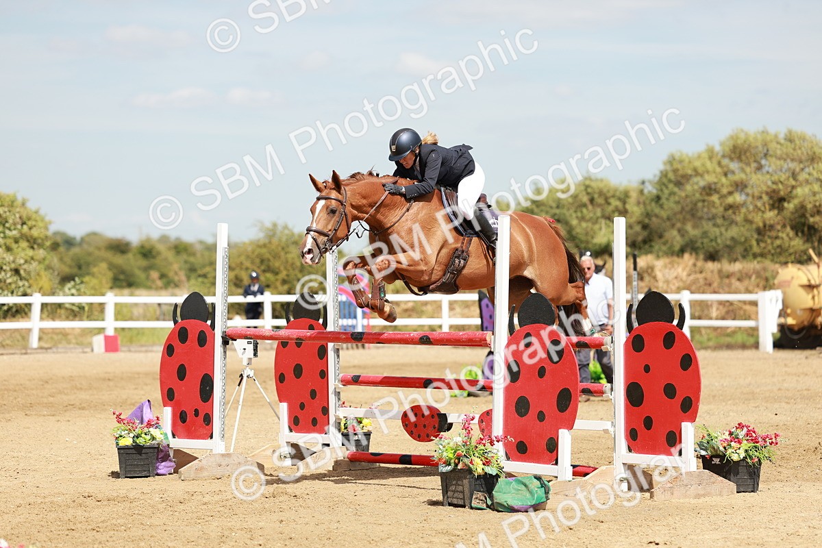 SBM_007951 - Class 4 - Senior Foxhunter - 1.20m Open