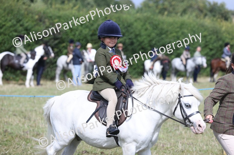 20250831-3271 - Class 24 - Absolute Beginners Pony