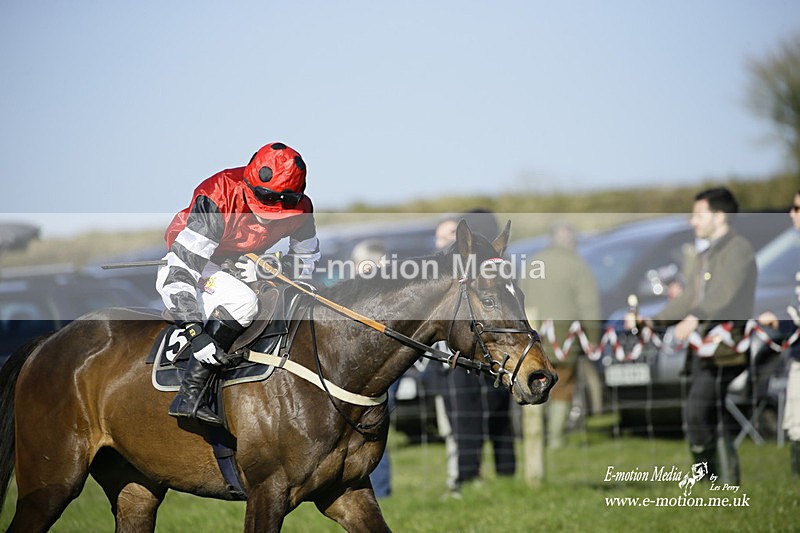 PtP 190322 774 - Wilton Hunt PtP Milborne St Andrew 19/03/22
