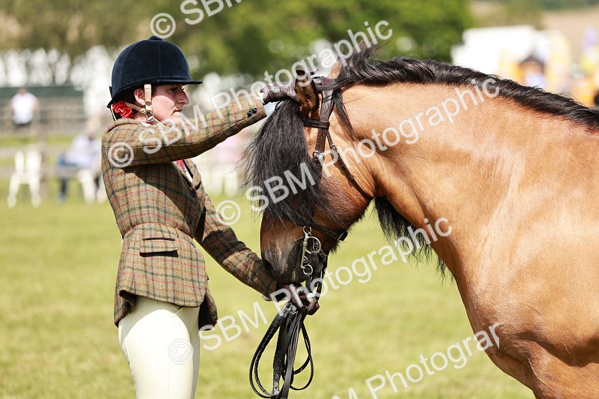 SBM_07156 - Class 26-30 - Mountain and Moorland Ridden