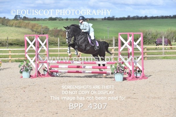 BPP_4307 - CLASS 6 HORSE 60CM FINAL