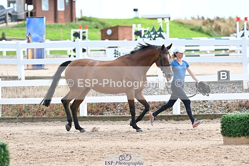 240717A-142838-02081 - Trot Up 2pm to 3pm - This folder is not in time order