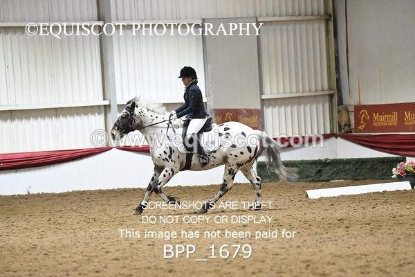BPP_1679 - PC NOVICE DRESSAGE