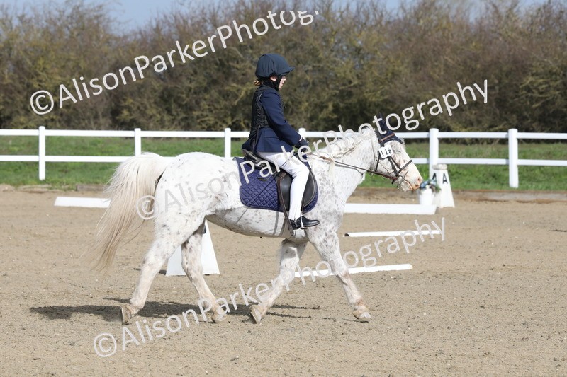 20260314-0300 - DR1 - Intro 1