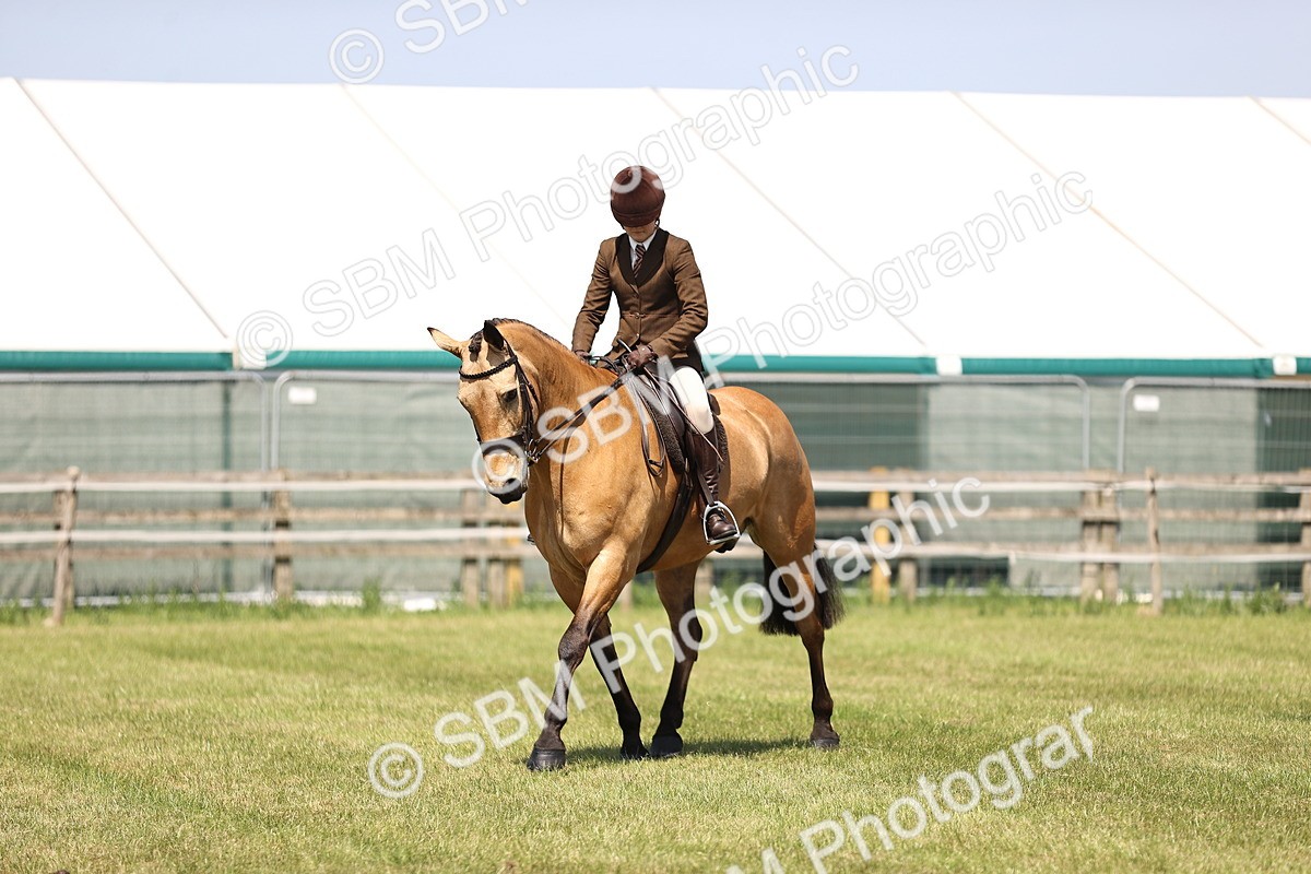 SBM_15150 - Class 79-80 - LIHS BSHA Rising Star Ridden Hunter