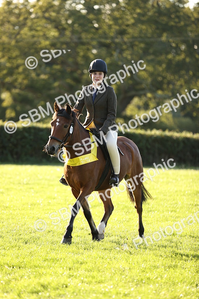 SBM_30109 - Novice & Newcomers Supreme Championship