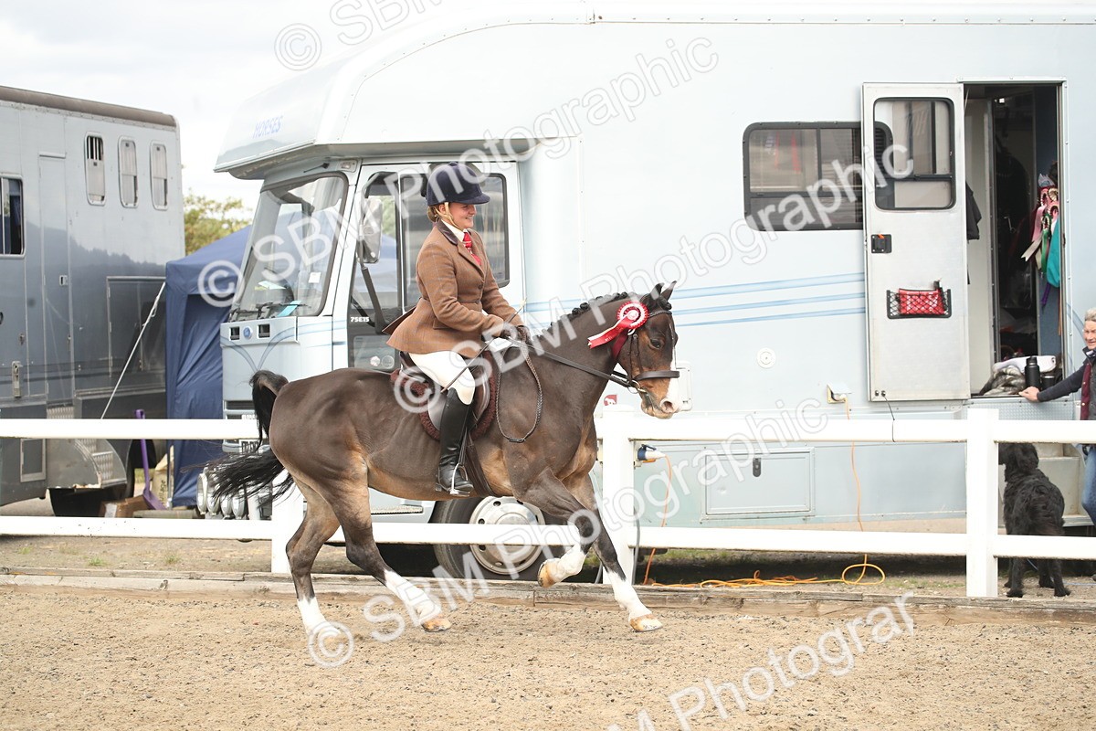 SBM_16578 - Class 506b - Working Veteran - 50cm (20+)