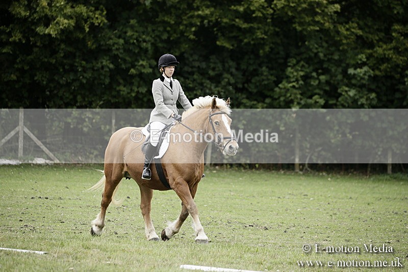 BVR080918 82 - BVRC Novice Dressage & CR 08/09/18