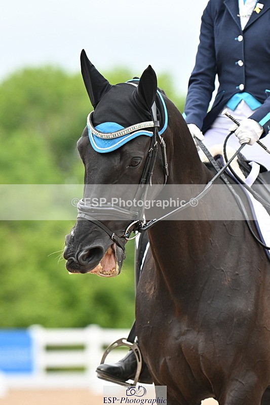 240623A-140205-18917 - Cls 51 BD Elementary 53