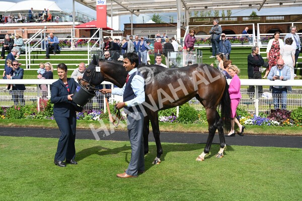 yr11062022r5-48 - Race 5 3.40pm The Pavers Foundation Catherine Memorial Sprint Stakes