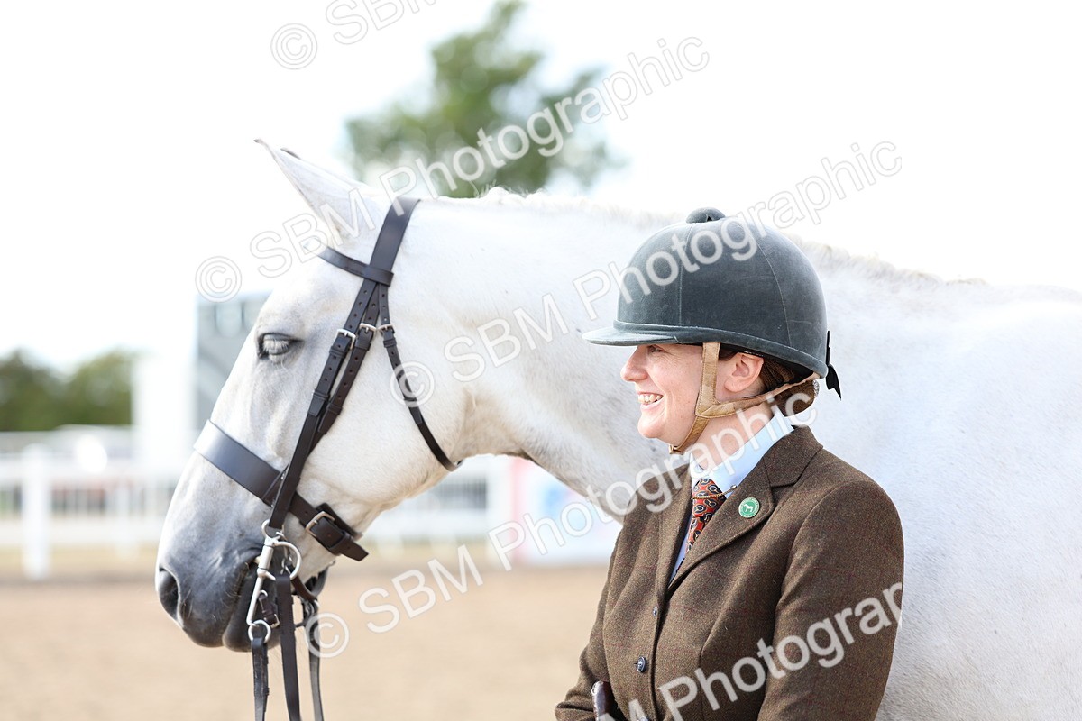 SBM_18756 - Class 317 - IH Pure Bred Horse-Pony