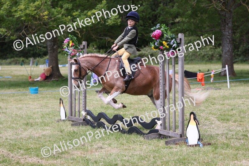 20260614-2044 - Class 21 - Novice Working Hunter Pony