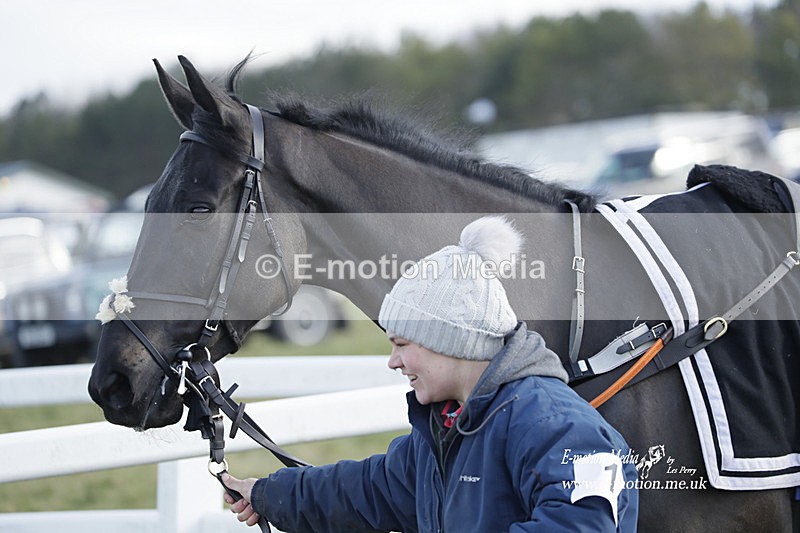 PtP 260223 767 - South & West Wilts Point-to-Point Larkhill 26/02/23