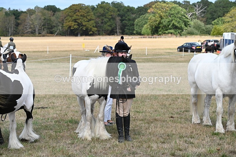 WJ6_6732 - Class 20 In-hand Cob