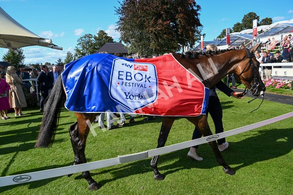 240824-Race 4-Magical Zoe-1244 - Race 4 3.35pm Sky Bet Ebor Handicap
