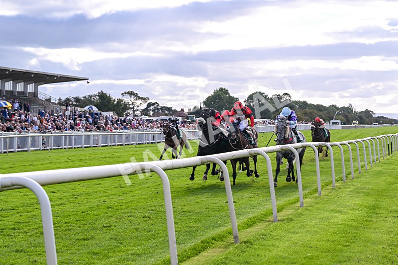 050926-Race 7-Andesite-5458 - Race 7 5pm Thirsk Racecourse Ideal Conference & Events Venue Handicap (Div I)