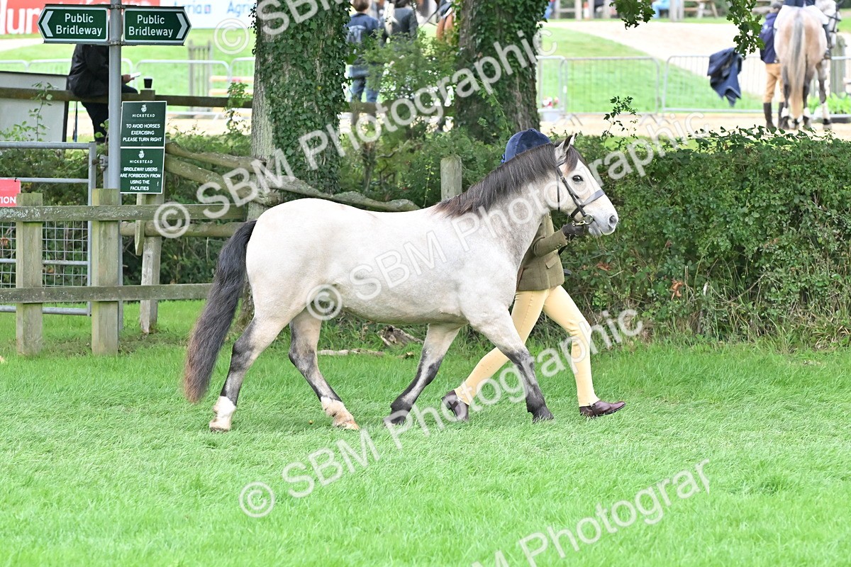 SBM_60994 - S48 - Mountain & Moorland In Hand Small Breeds