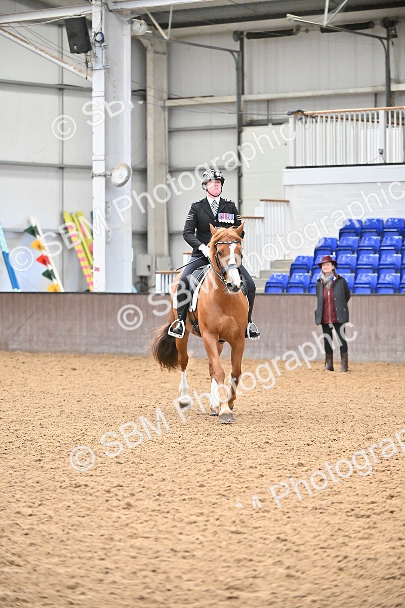SBM_001465 - Class 19,20 - Ridden Native, Foreign Breeds & Warmbloods