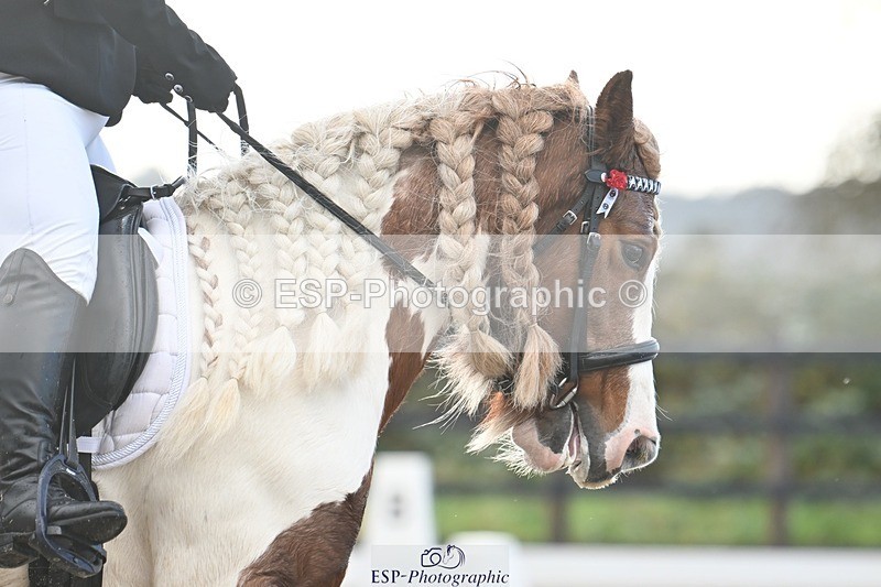 231105-101346-00729 - Cls 3 Prelim 12 9.54 to 11.10 break