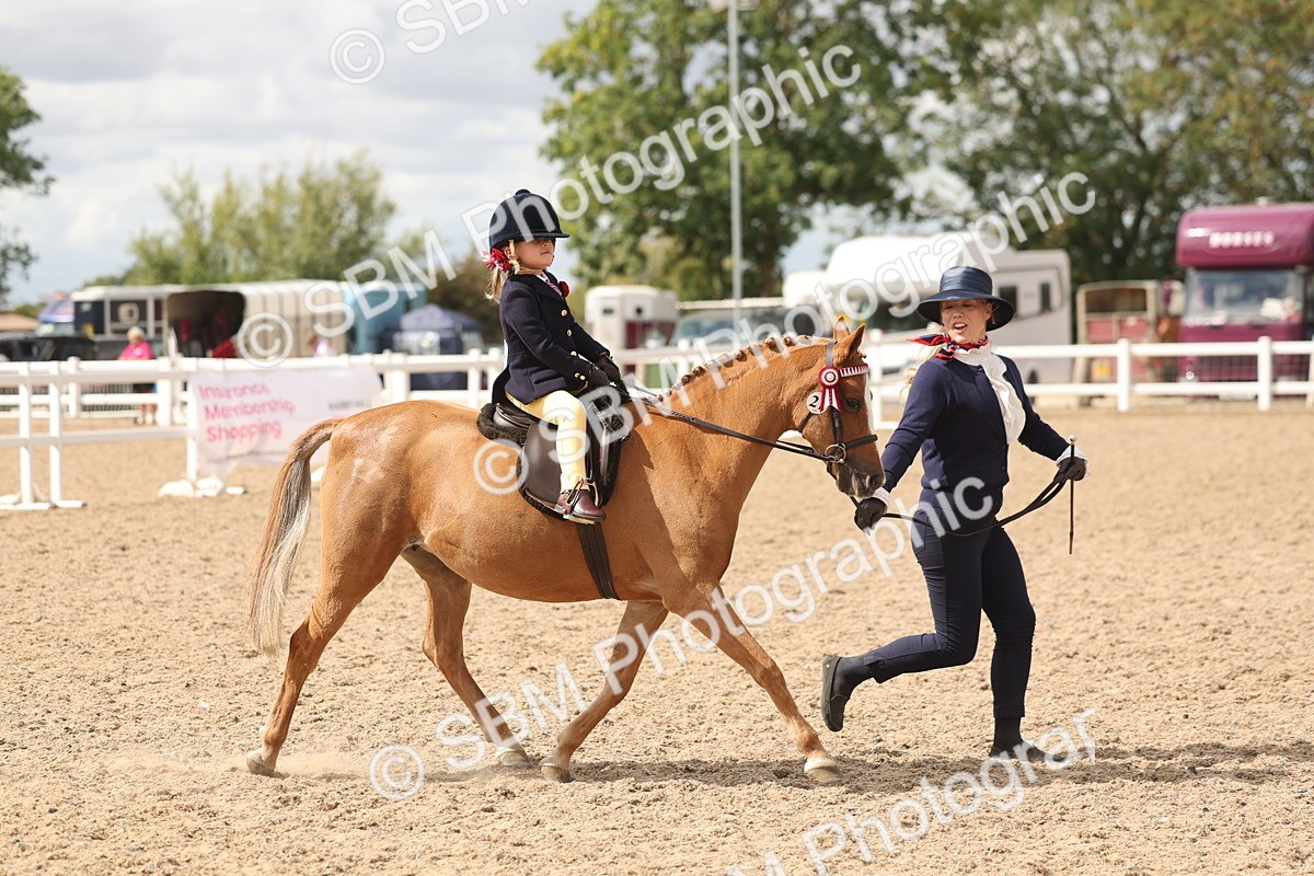 SBM_15781 - Class 309 - Lead Rein Pony