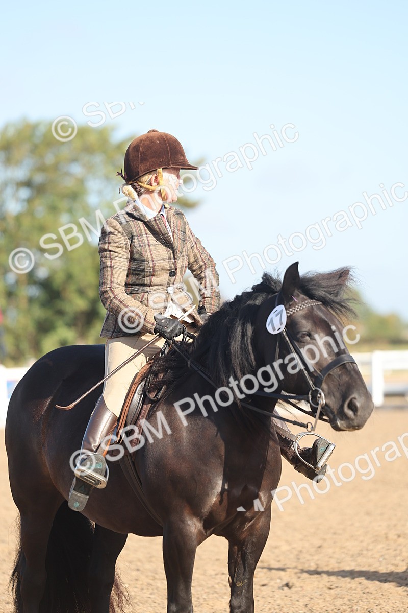 SBM_22130 - Class 801 - Ridden Veterans