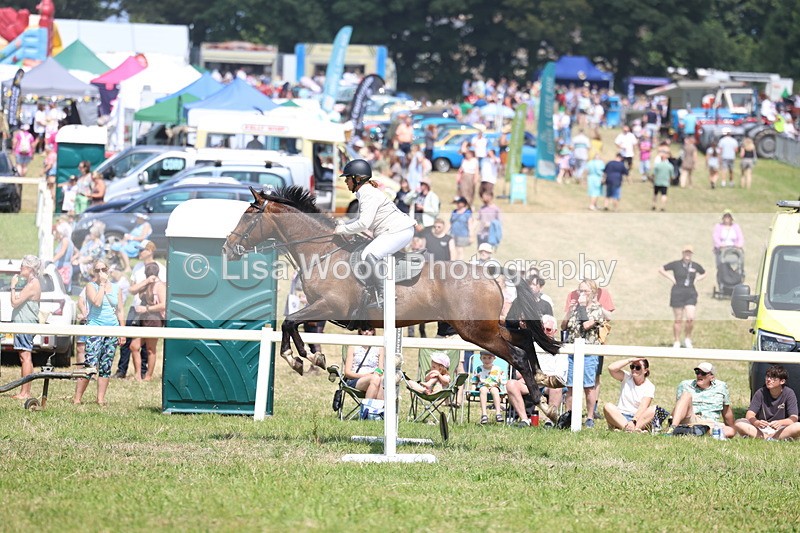 3E7A2853 - Class 7: Senior British Novice/90cm open